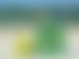 Ministério do Turismo institui Câmara Temática de Crédito e Atração de Investimentos no Turismo