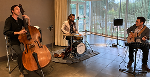 FB Jazz Trio performing live with guitar, double bass and drums