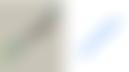 Reseda Group and Maps Credit Union Partner to Acquire Pocketnest to Expand AI-Powered Financial Wellness for Members