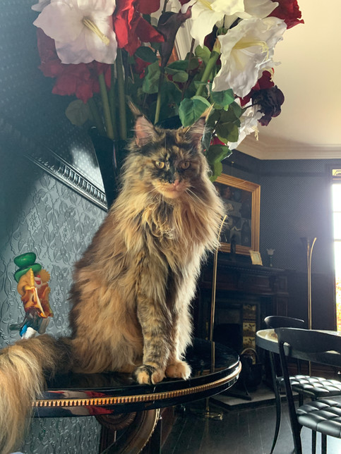 Greta
