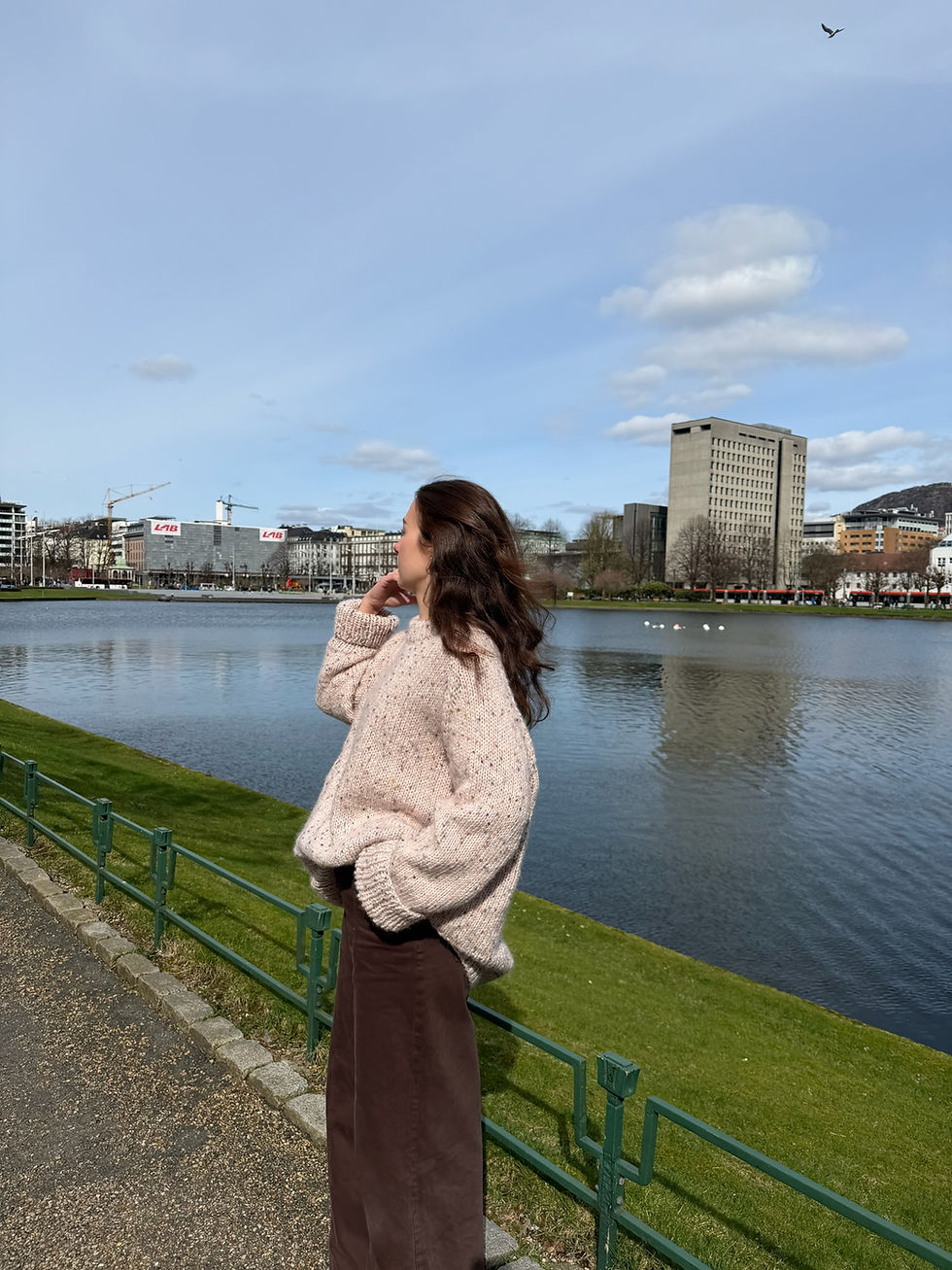 Miniatyrbilde: Elly Sweater (ENG)