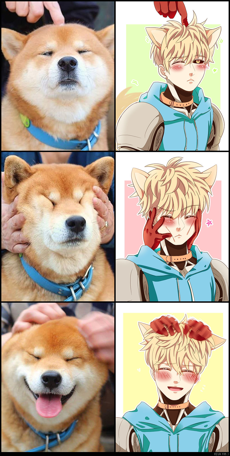 D O G