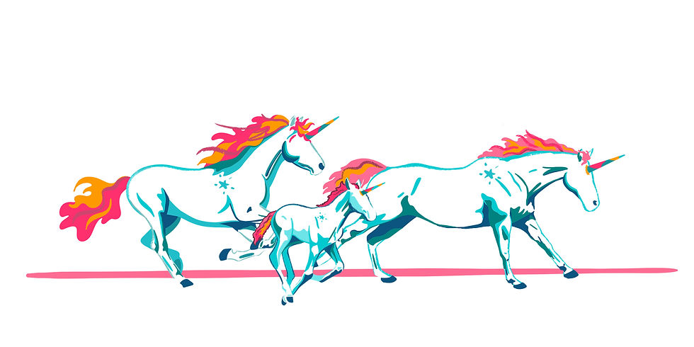Unicorns_Galloping_Shadow_Color_