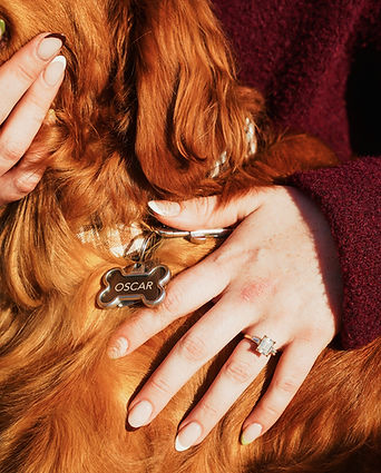 Still 2025-11-09 202544_2.1.1.jpg