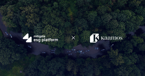 Case Study: Digitalizing ESG Strategy at Kaamos Group
