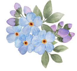 Forget Me Not Flower Graphic