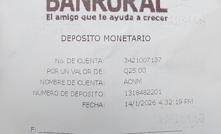 Ejemplo Boleta.jpg