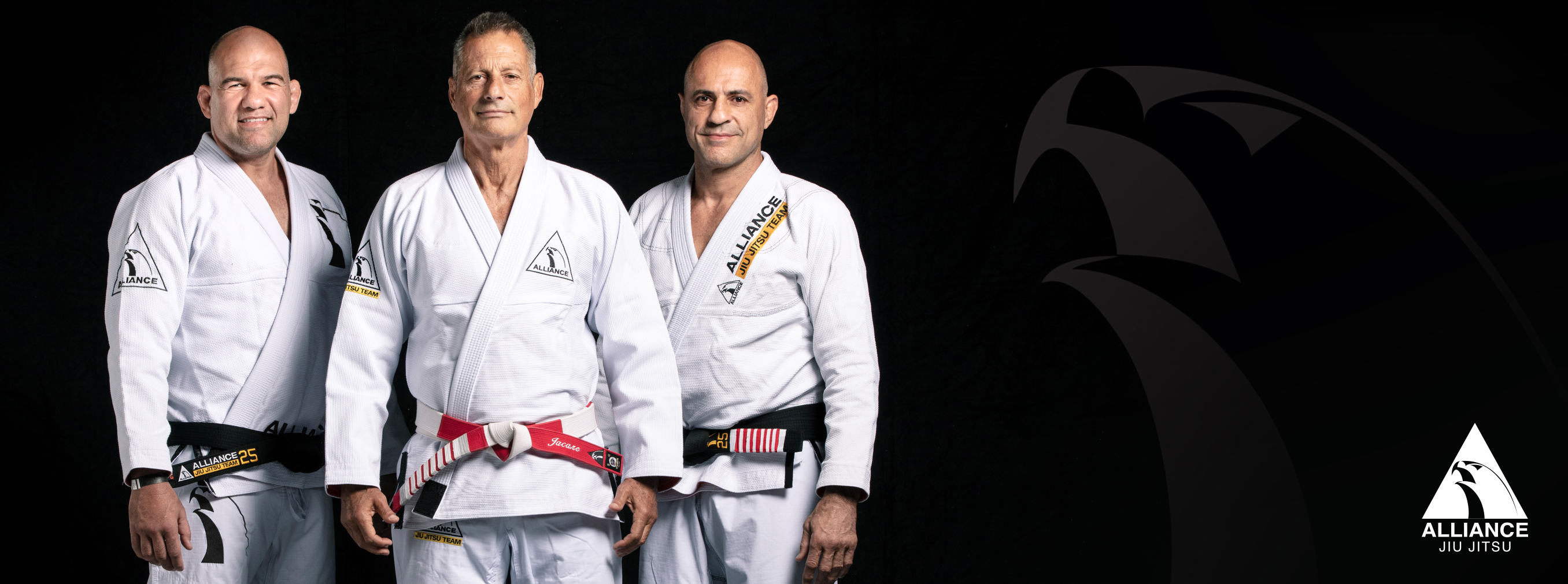 Capoeira and Brazilian Jiu-Jitsu Bay Area facility image