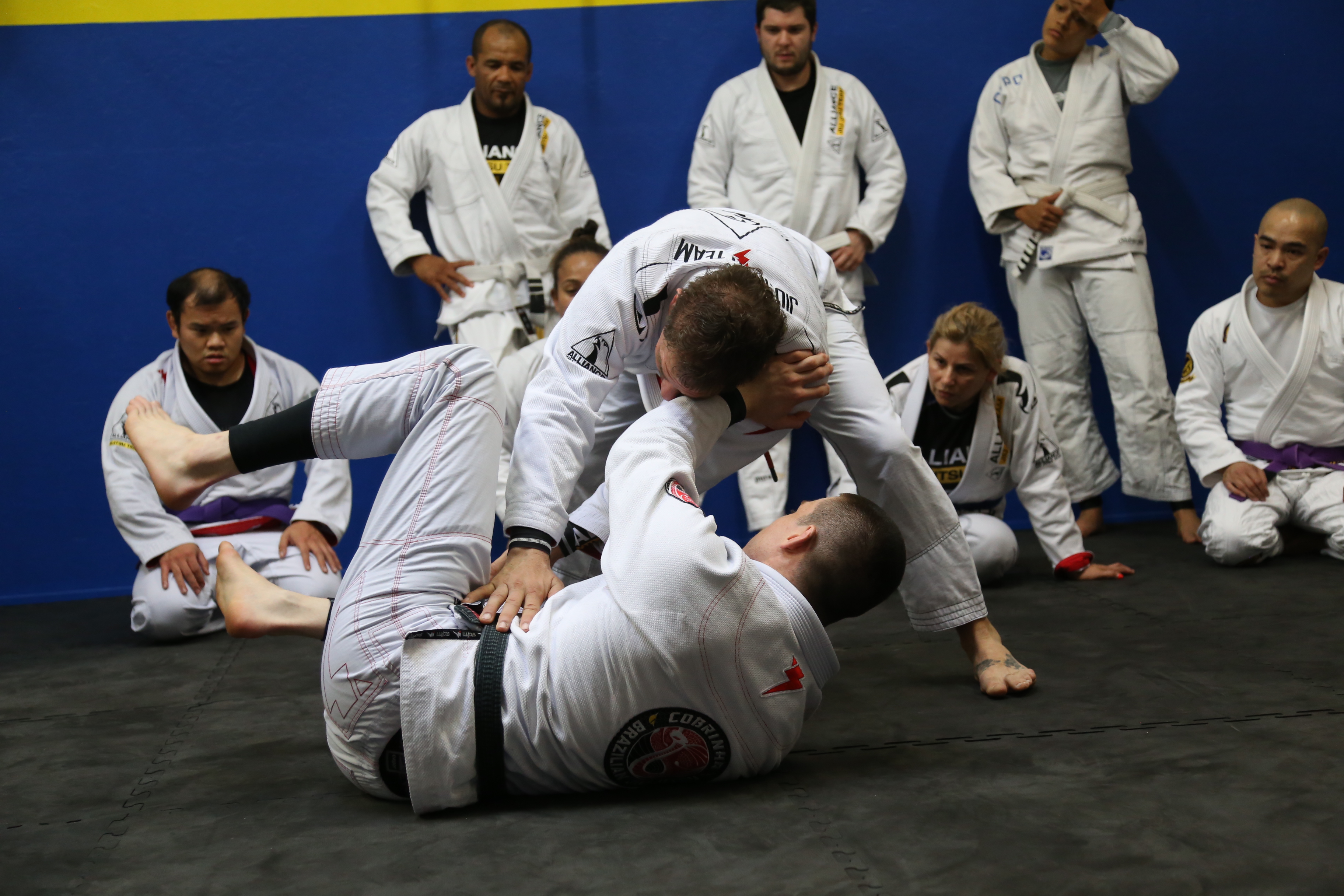 Capoeira and Brazilian Jiu-Jitsu Bay Area facility image