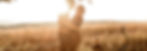 Familie, Mutter und Vater umarmend sich lachend