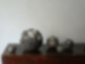 DSC09618.JPG