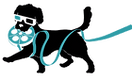 4CINEMOU_logo-02_edited.png