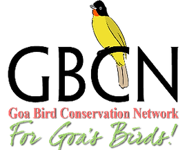 GBCN Logo_New(1)_edited_edited.png