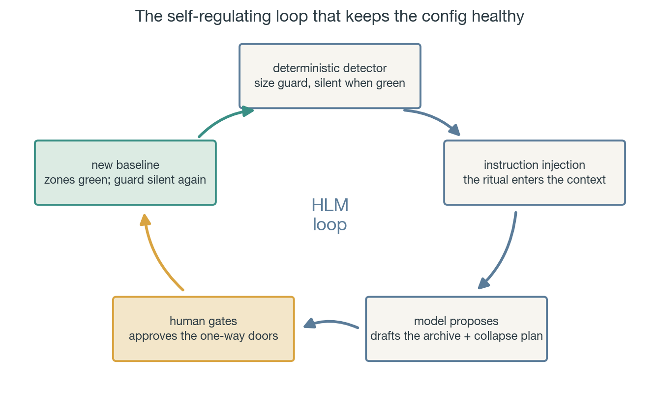 The self-regulating HLM loop
