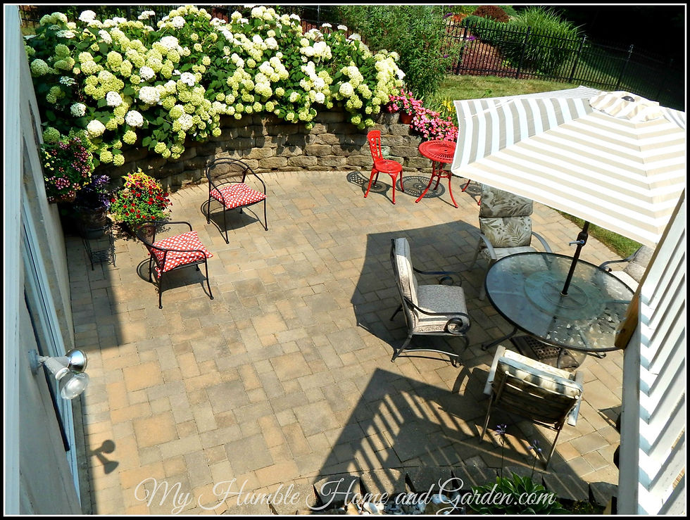 Backyard Bliss, A wall of Annabelle Hydrangea cascades over the retaining wall. on MyHumbleHomeandGarden.com