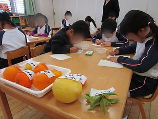みかんの観察