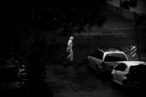 Desbandada_Vetterlein (1).png