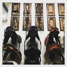 Saddlery in Seville