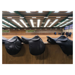 Saddle fitting training