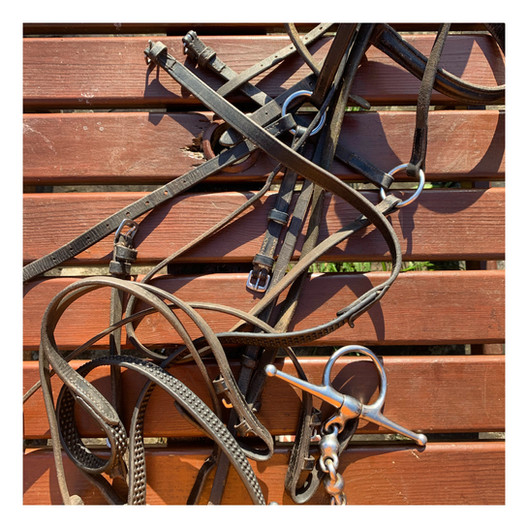 cleaning tack!