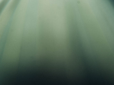 Be Kind, Be Green but Be Clear