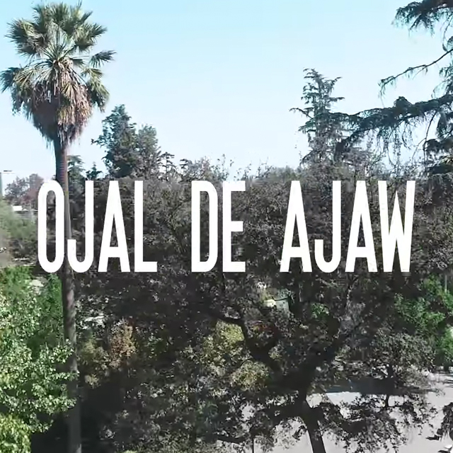 Ojal de Ajaw - Pupilas