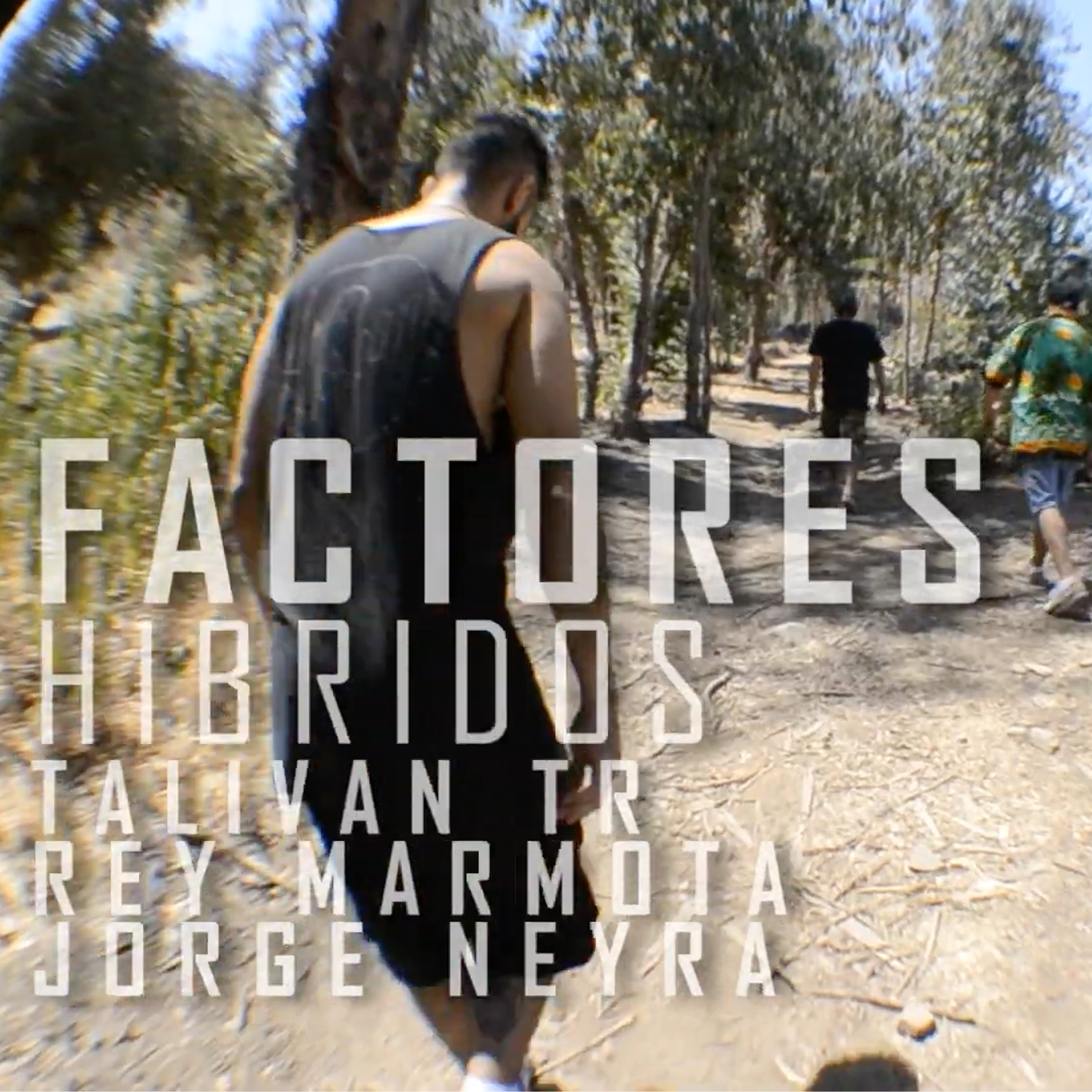 Híbridos - Factores