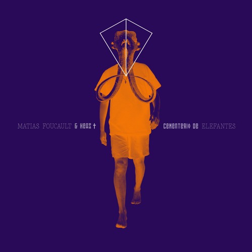 Matias Foucault - Cementerio de Elefantes