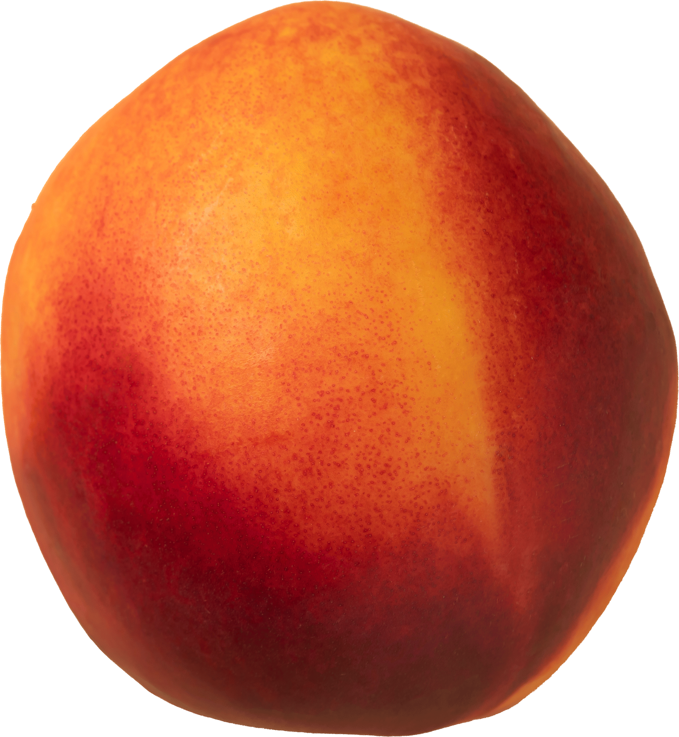 Spinning Nectarine