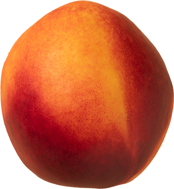 Nectarine
