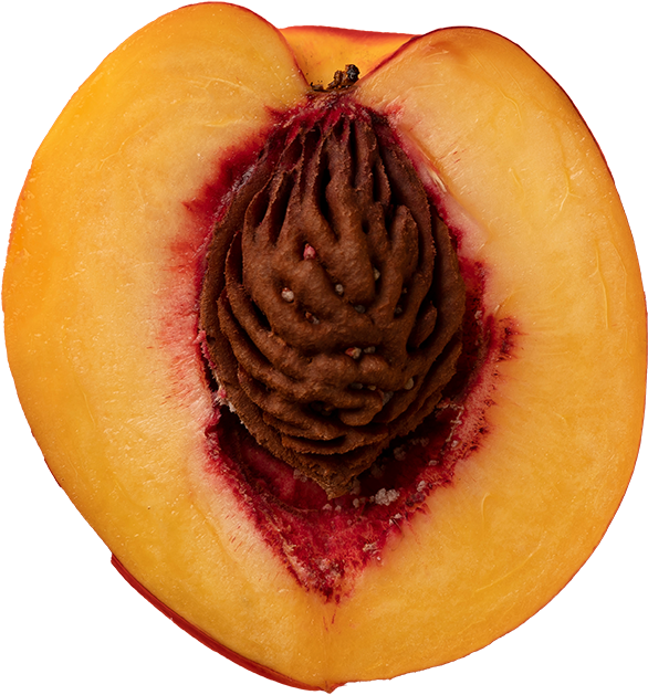 Open Nectarine