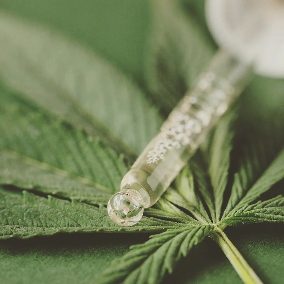 縮圖：Jesderma Cannabis Rejuvenating