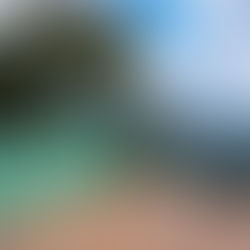 INAUGURAÇÃO DO MIRANTE SE TORNA MARCO HISTÓRICO DO ECOTURISMO NO MUNICÍPIO