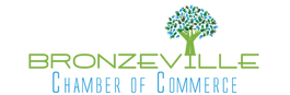 Bronzeville-Chamber-of-Commerce-Logo-Color.png
