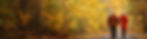 senior-landscape_web2.jpg