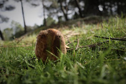 IMG_8071_Fotor