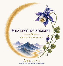 Nyt logo - Healing by Sommer.jpg