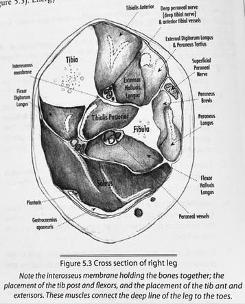Finding the spring in our step to jump with joy!