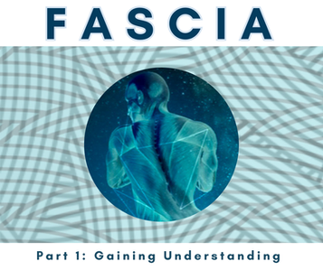 Understanding Fascia: what it is, how it works and what keeps it healthy