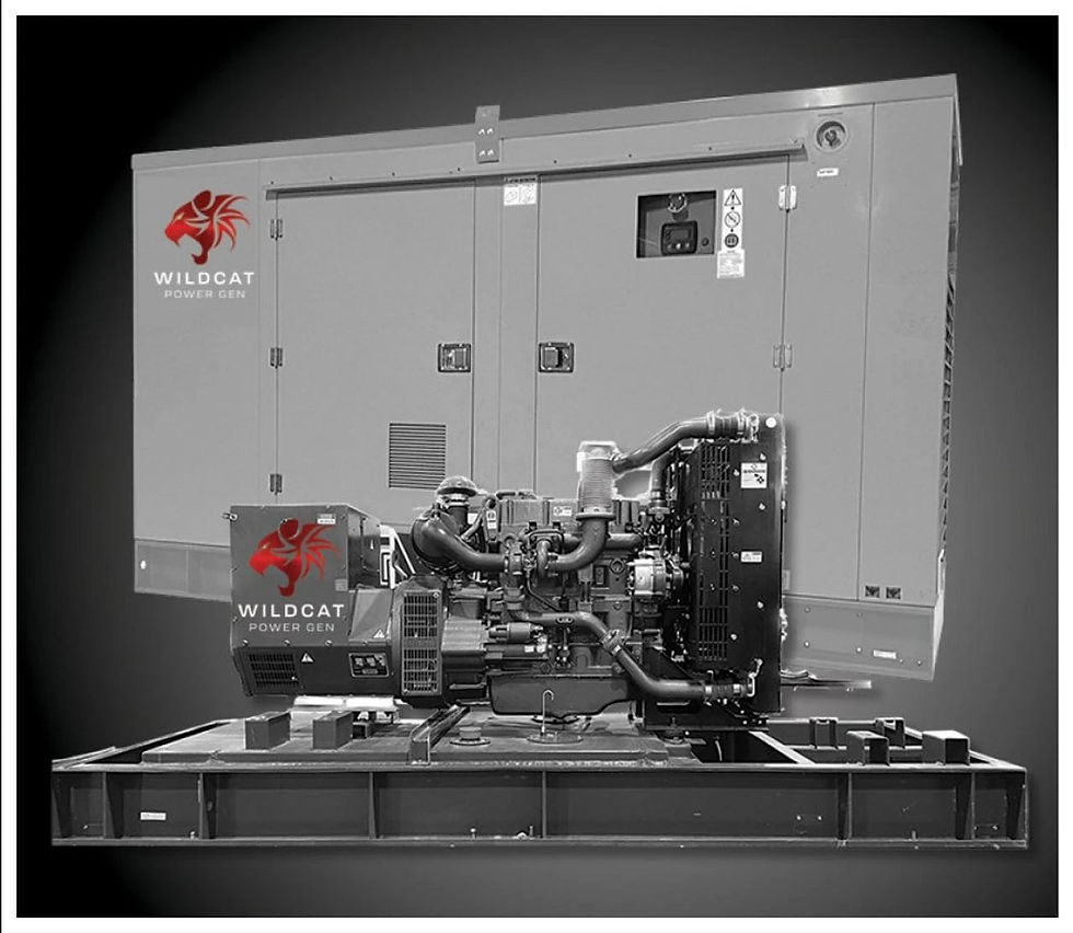 Wildcat Roughneck Natural Gas - Propane Generator 30KW NG-LPG 30KW - Emergency