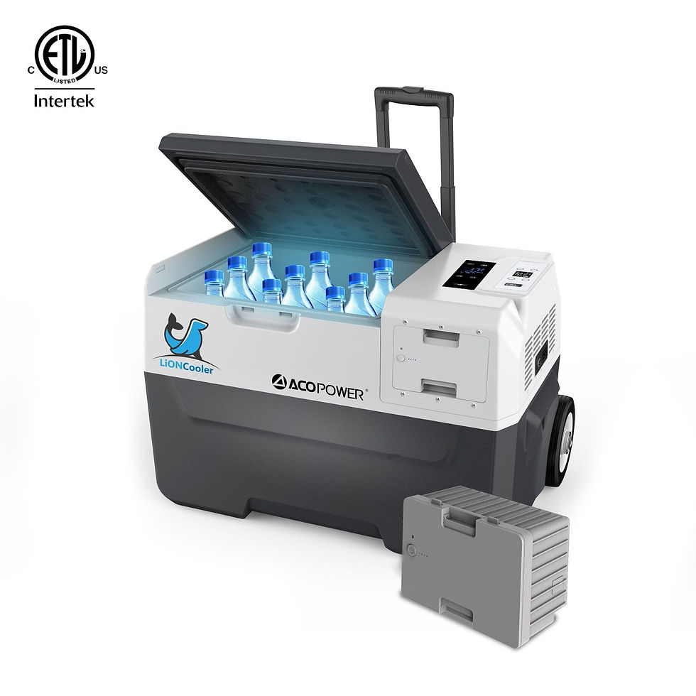 ACOPOWER LionCooler X30A Combo, 32 Quarts Solar Freezer & Extra 173Wh Battery (2