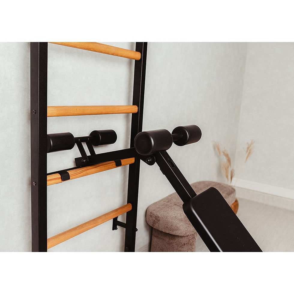 Thumbnail: BenchK 233B Black Wall Bars