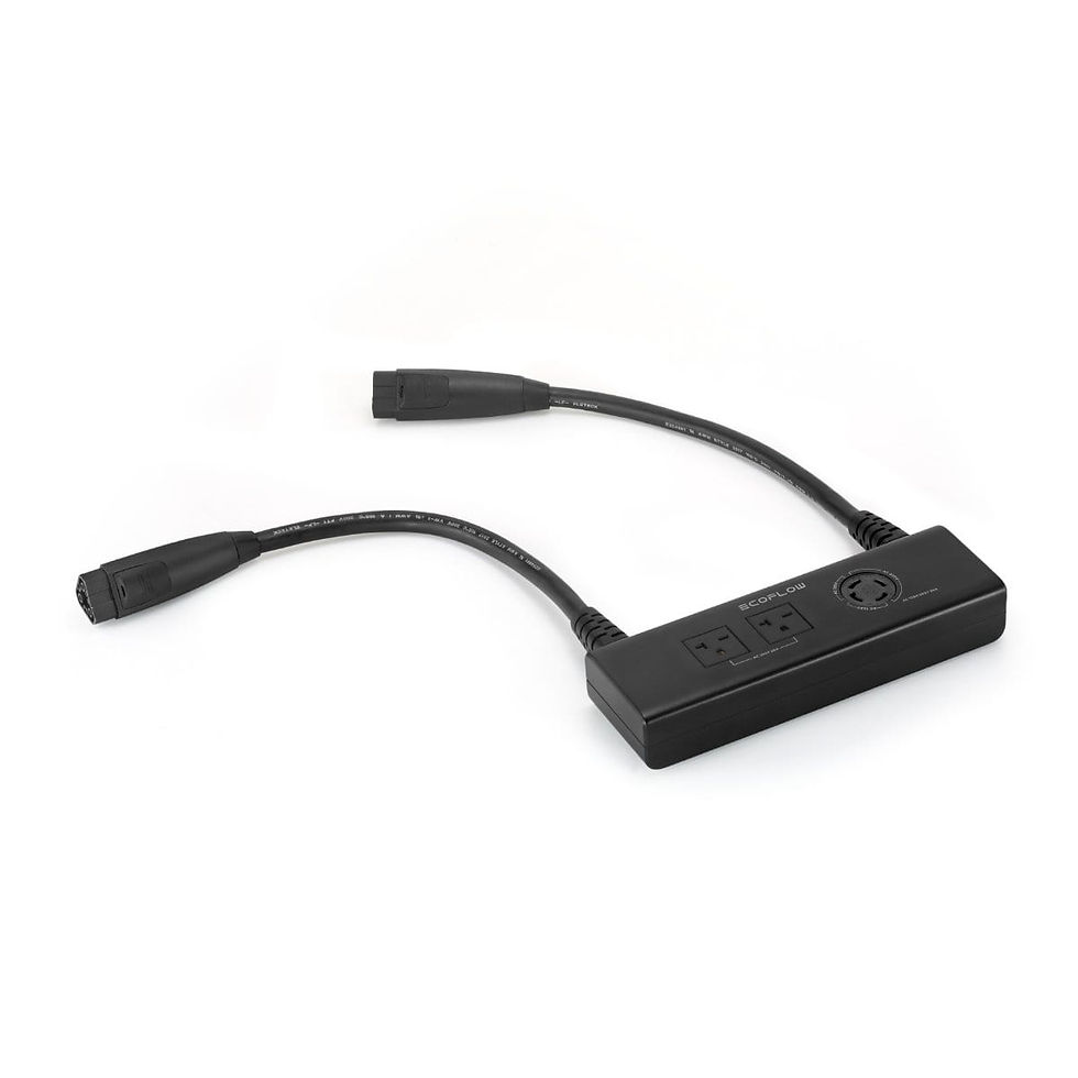 EcoFlow Double Voltage Hub (DELTA Pro only)