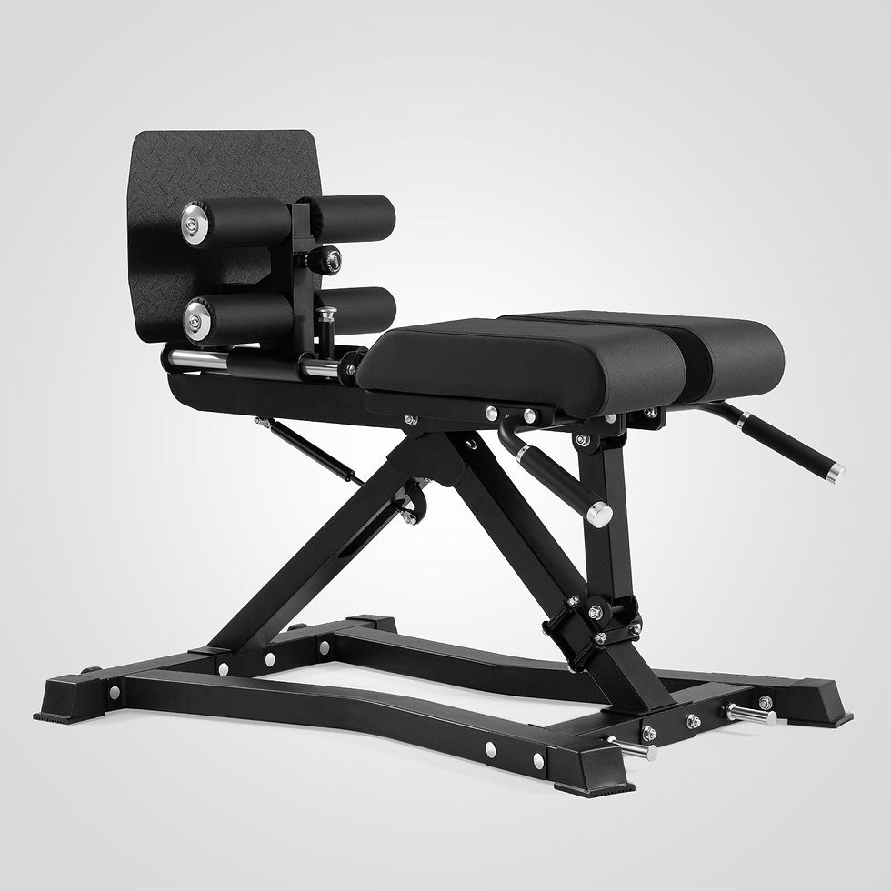 RitFit BE01 Adjustable Back Extension Machine for Home and Gym