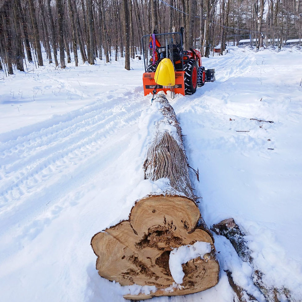 Thumbnail: 8800lbs 3-Point Hitch Forestry Log Skidding Winch, 200ft Cable Length, 25-60 HP