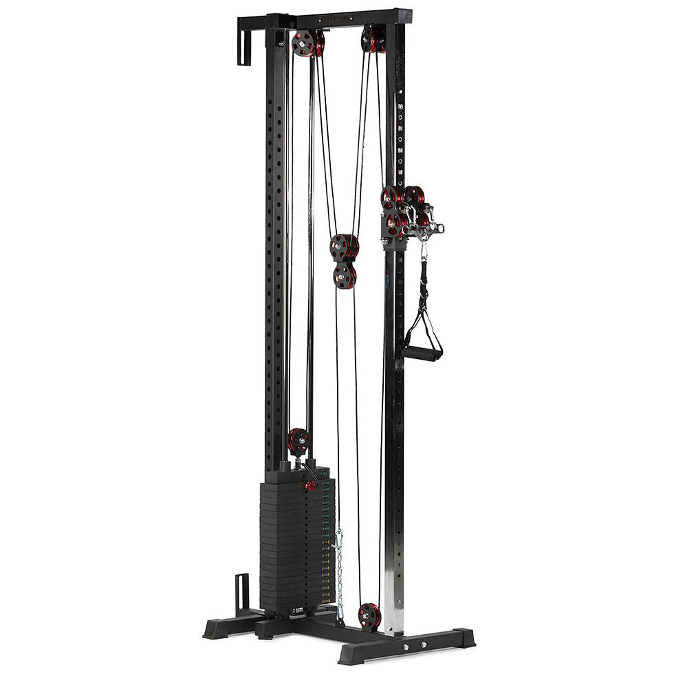 Scratch and Dent, Tall Wall and Rack Mounted Pulley Tower | 200 LB Selector