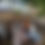 Thumbnail: Yemen - Goat