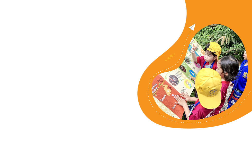 BG04.png