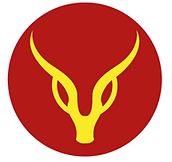 Thiết kế không tên.png
