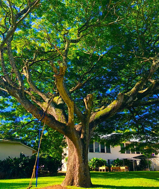 36618D66-0888-4088-B6F7-49E64B809293.jpeg